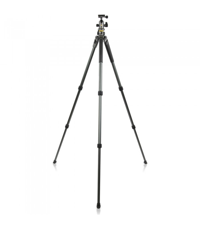 سه‌پایه ونگارد مدل Vanguard Alta Pro 2+ 263AB100 همراه با بال هد Alta BH-100