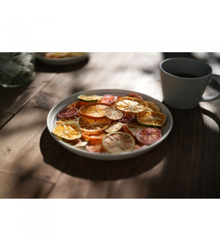 لنز سونی مدل FE 50mm f/1.4 GM