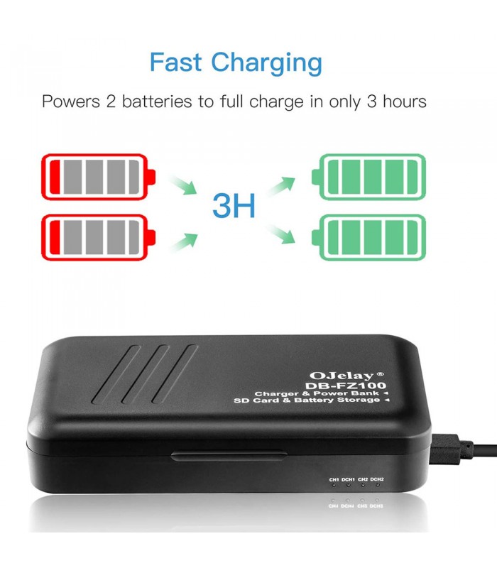 شارژر دوبل باتری SoulMate مدل DB-FZ100