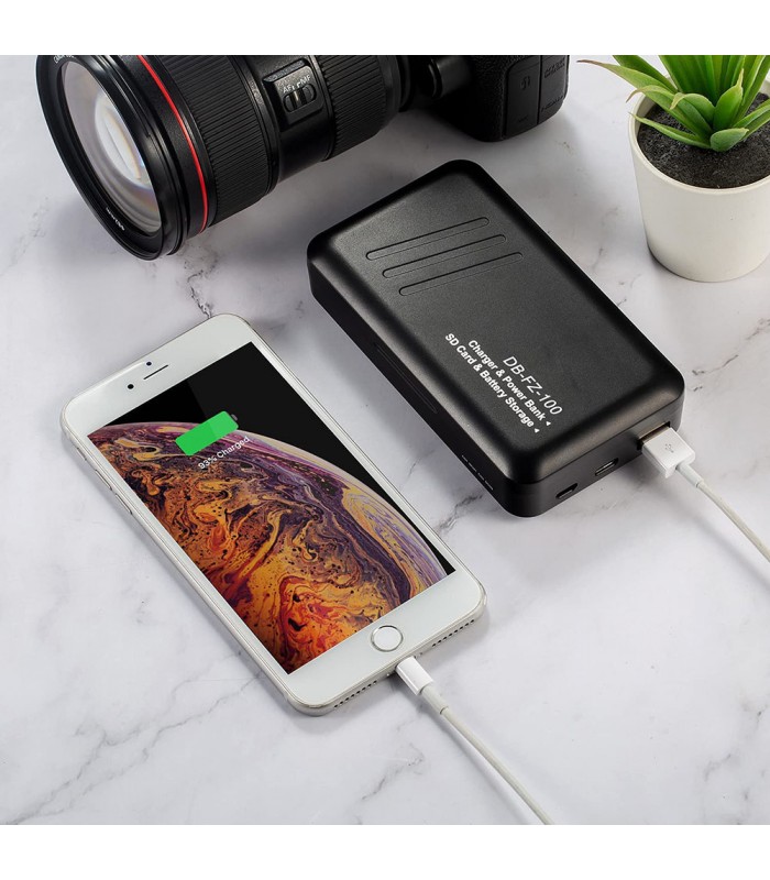 شارژر دوبل باتری SoulMate مدل DB-FZ100