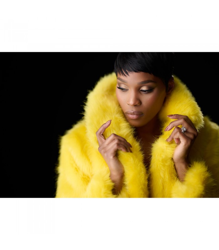 دوربین عکاسی بدون آینه نیکون مدل Nikon Z8