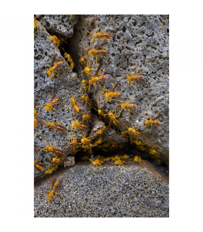 دوربین بدون آینه لایکا مدل Leica Q3