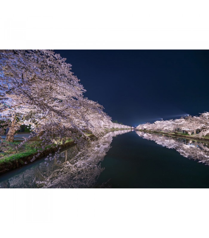 لنز سیگما مدل Sigma 14mm f/1.4 DG DN Art مانت E سونی