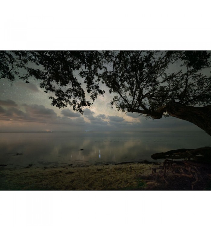 لنز سیگما مدل Sigma 14mm f/1.4 DG DN Art مانت E سونی