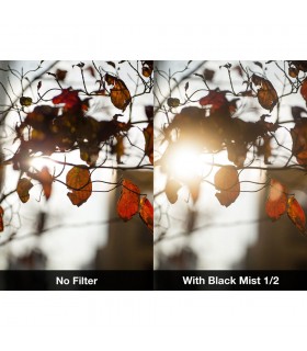 فیلتر دیفیوز NiSi مدل Black Mist Filter 1/2 دهانه فیلتر ۷۷ میلی‌متر