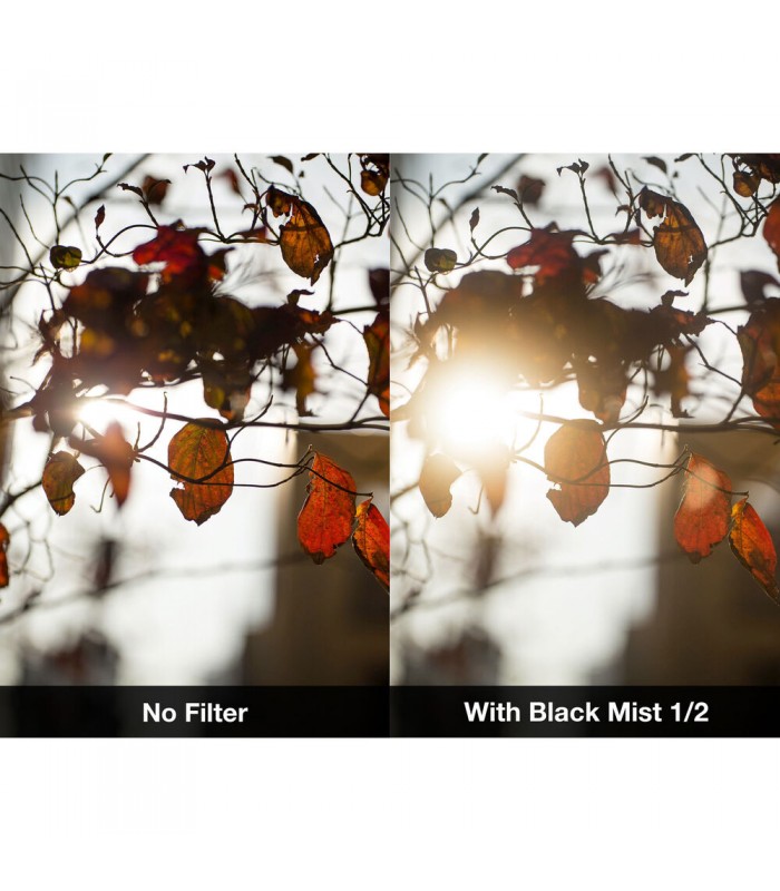 فیلتر دیفیوز NiSi مدل Black Mist Filter 1/2 دهانه فیلتر ۷۷ میلی‌متر