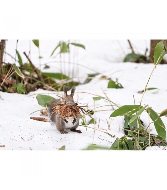 لنز نیکون مدل NIKKOR Z 180-600mm f/5.6-6.3 VR