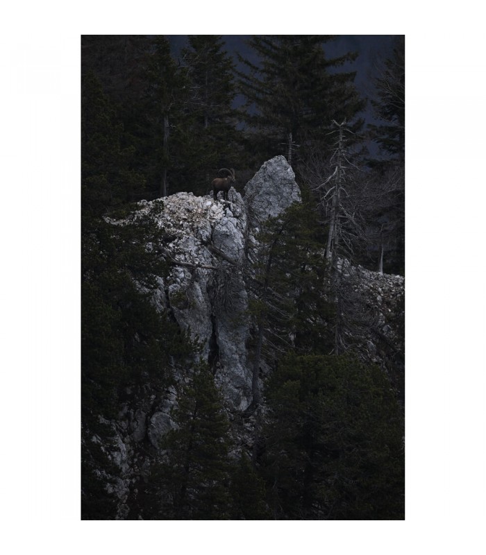 لنز نیکون مدل NIKKOR Z 180-600mm f/5.6-6.3 VR