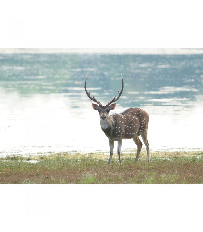 دوربین بدون آینه سونی مدل Sony Alpha a6700