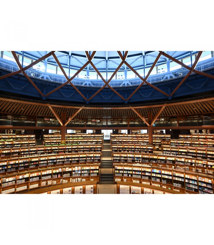 دوربین بدون آینه نیکون مدل Nikon Zf