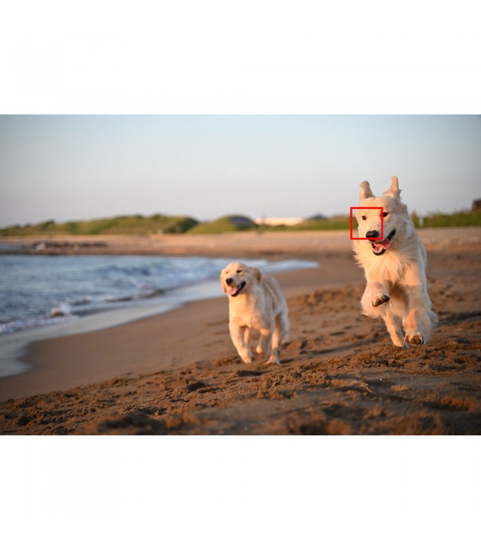 دوربین بدون آینه نیکون مدل Nikon Zf