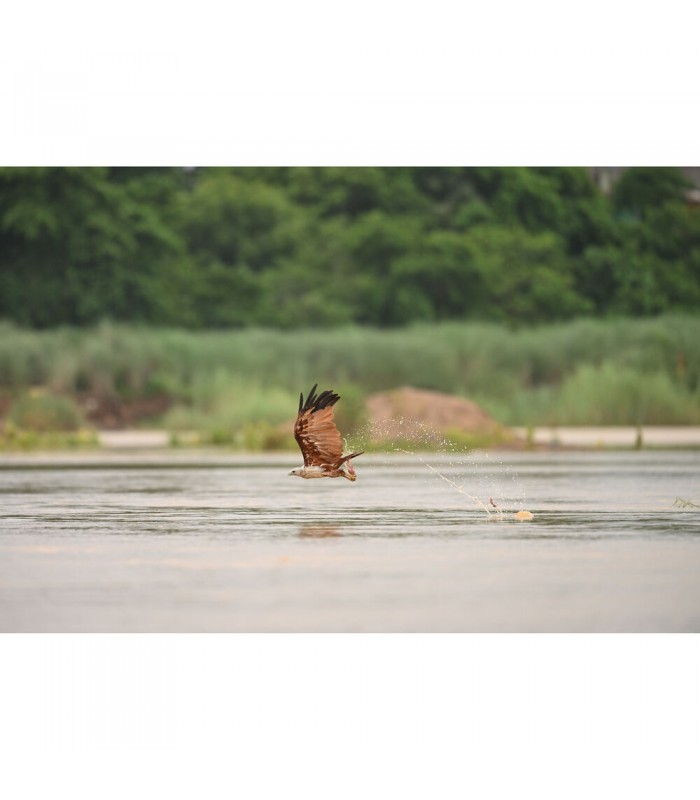 لنز نیکون مدل NIKKOR Z 600mm f/6.3 VR S