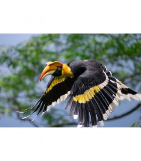 لنز نیکون مدل NIKKOR Z 600mm f/6.3 VR S