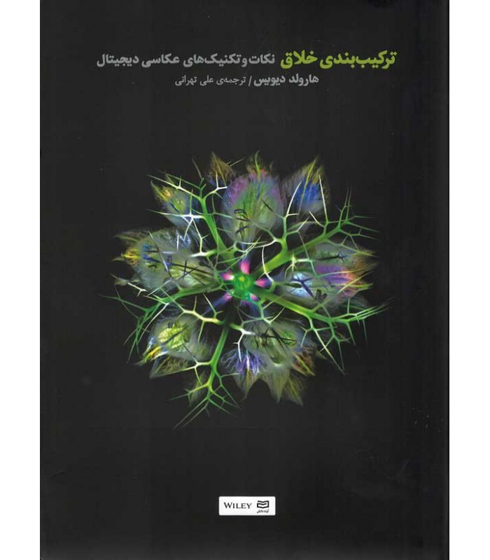 ترکیب‌بندی خلاق - نکات و تکنیک های عکاسی دیجیتال