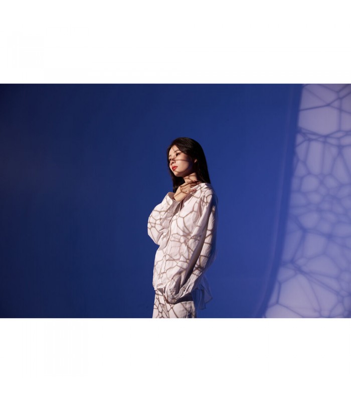 پروجکشن فلاش گودوکس مدل Godox AK-R21