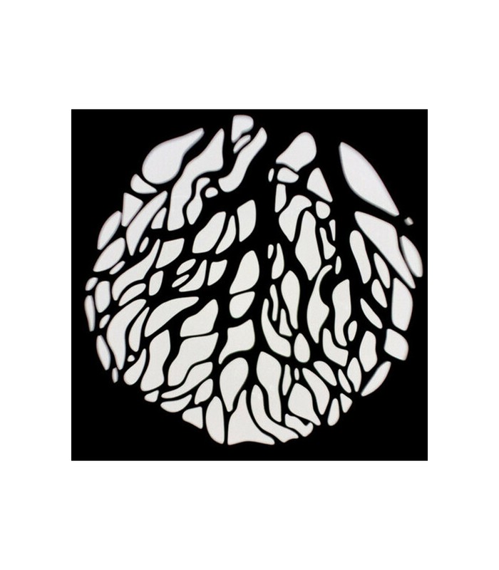 پروجکتور نور نانلایت ۱۹ درجه مدل Nanlite PJ-BM-19