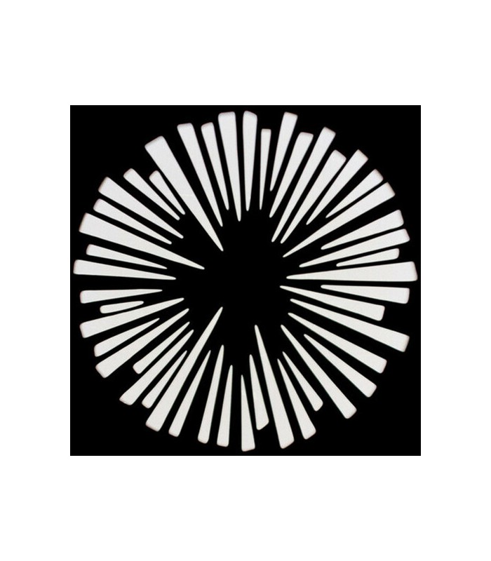 پروجکتور نور نانلایت ۱۹ درجه مدل Nanlite PJ-BM-19