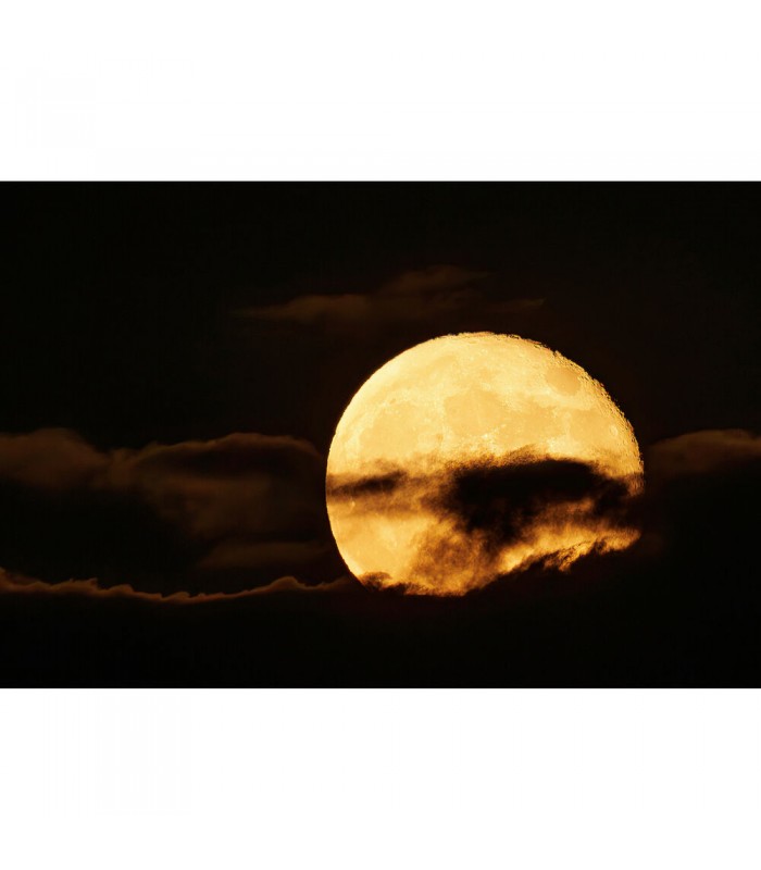 لنز کانن مدل RF 200-800mm f/6.3-9 IS USM