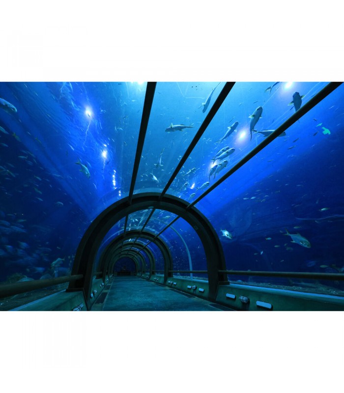 لنز کانن مدل RF-S 10-18mm f/4.5-6.3 IS STM