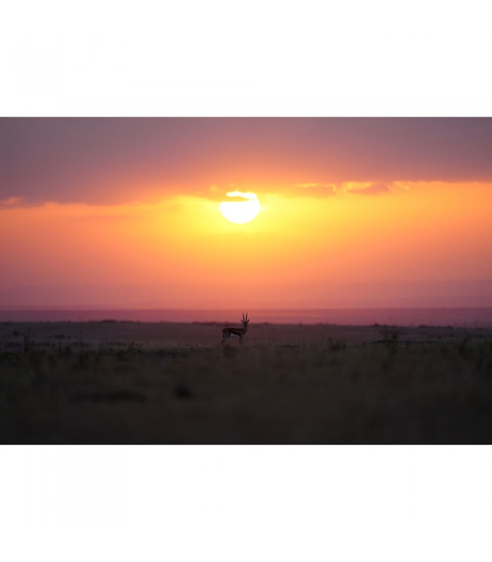 لنز سونی مدل FE 300mm f/2.8 GM OSS