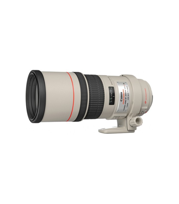 Canon EF 300mm f4L IS USM