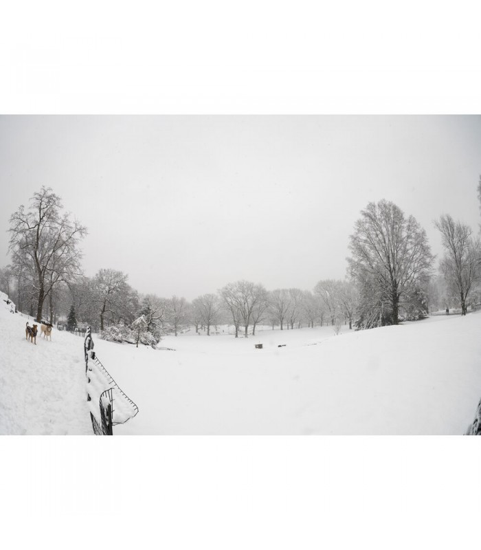 لنز سیگما مدل Sigma 15mm f/1.4 DG DN Art - مانت E سونی