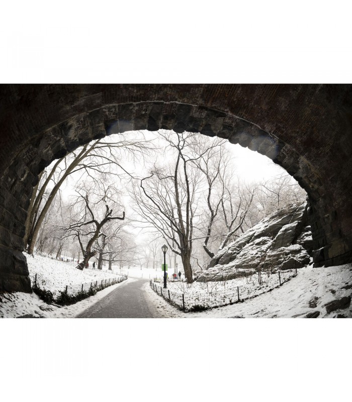 لنز سیگما مدل Sigma 15mm f/1.4 DG DN Art - مانت E سونی