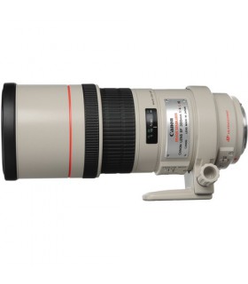 Canon EF 300mm f4L IS USM
