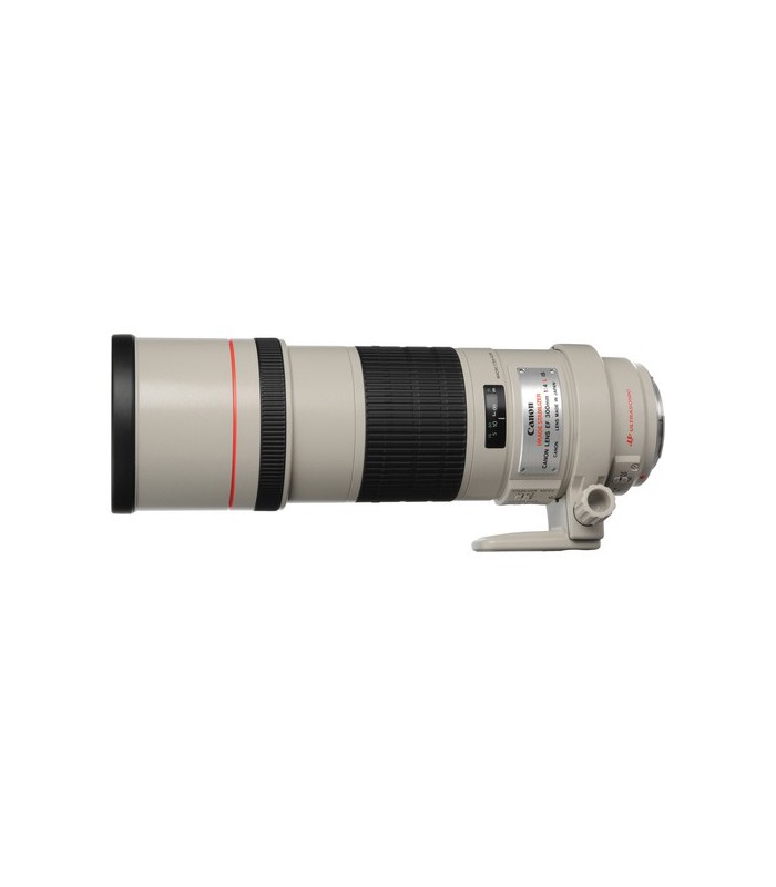 Canon EF 300mm f4L IS USM