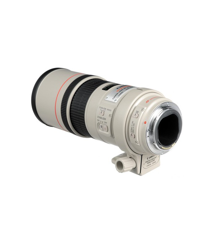Canon EF 300mm f4L IS USM