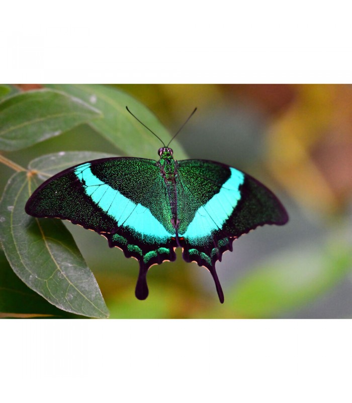 لنز نیکون مدل NIKKOR Z 28-400mm f/4-8 VR