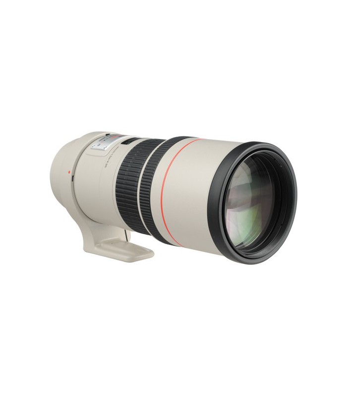 Canon EF 300mm f4L IS USM