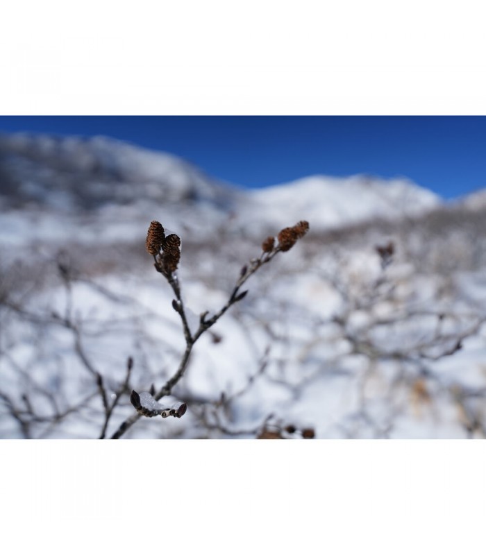 لنز سونی مدل FE 16-25mm f/2.8 G