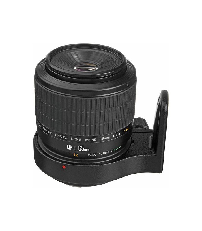 Canon MP-E 65mm f2.8 1-5x Macro Photo