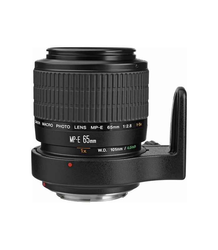 Canon MP-E 65mm f2.8 1-5x Macro Photo