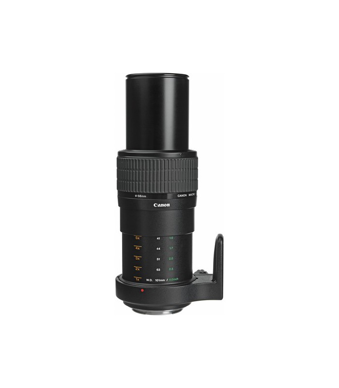 Canon MP-E 65mm f2.8 1-5x Macro Photo