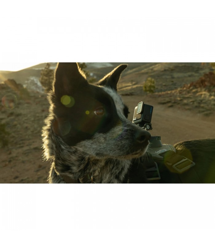 دوربین ورزشی گوپرو هیرو مدل GoPro HERO Compact Action Camera