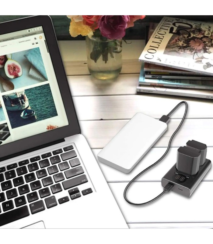 شارژر دوبل باتری نیور به همراه دو باتری Neewer Dual Charger with NP-FZ100 Batteries