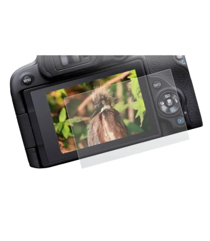 محافظ صفحه‌نمایش دوربین مناسب برای دوربین کانن مدل Canon R10