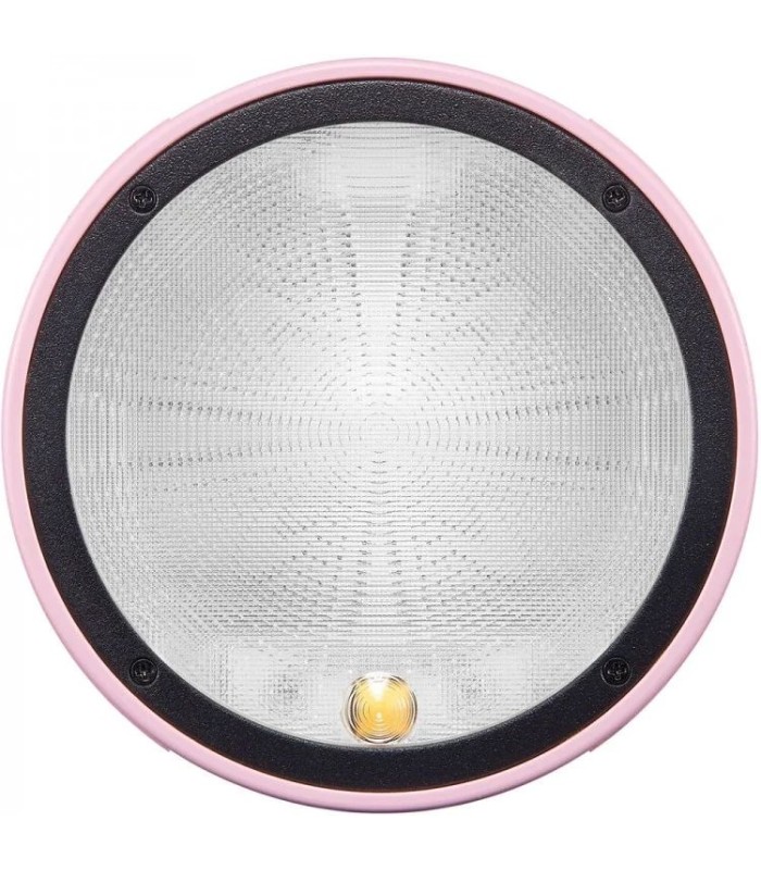 فلاش کامپکت گودوکس مدل Godox AD100pro | رنگ صورتی