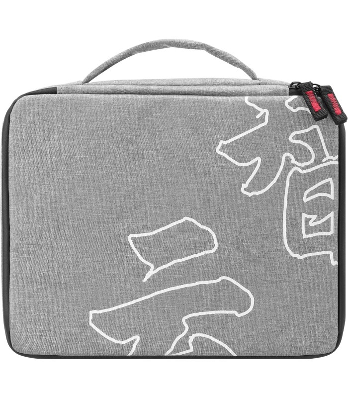 نور ثابت سینمایی آر جی بی ژیون مدل Zhiyun MOLUS X60RGB RGB - پک کمبو