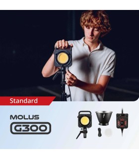نور ثابت سینمایی ژیون مدل Zhiyun MOLUS G300 Bi-Color