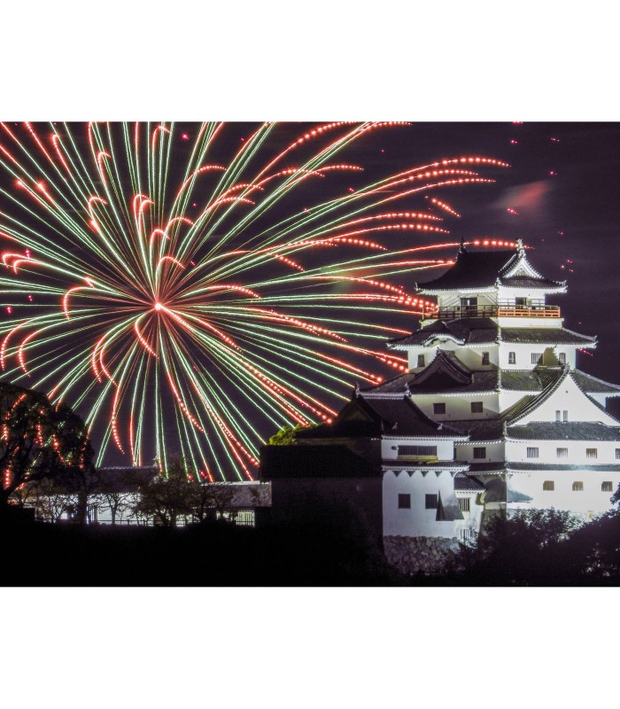 دوربین دیجیتال نیکون مدل Nikon COOLPIX P1100