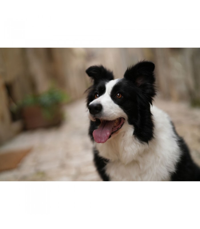 دوربین بدون آینه سونی a7CR - رنگ نقره‌ای