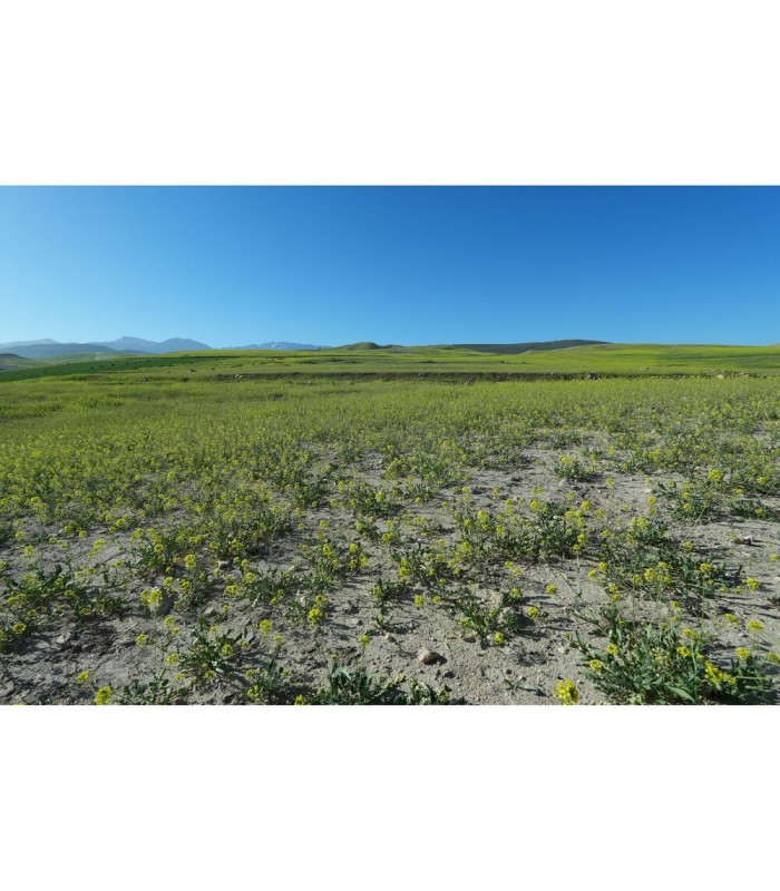 دوربین بدون آینه سونی مدل Sony ZV-E10 II به همراه لنز ۱۶-۵۰ میلی‌متری II رنگ مشکی