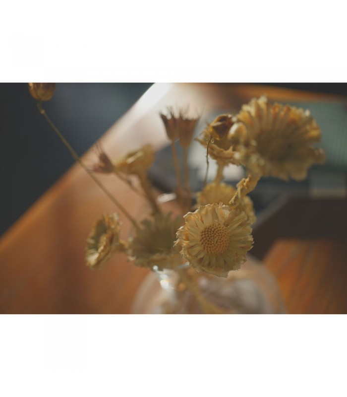 دوربین بدون آینه سونی a7C II - رنگ مشکی