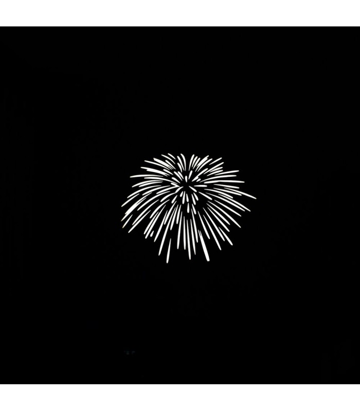 پک شماره ۲ شابلون نور نانلایت مدل NANLITE gobo as-gb-fmm-Set 2