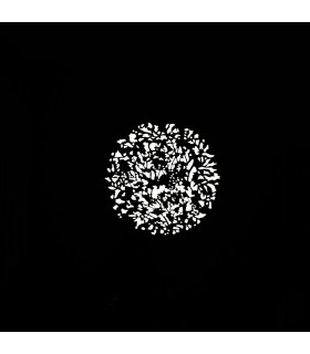 پک شماره ۲ شابلون نور نانلایت مدل NANLITE gobo as-gb-fmm-Set 2