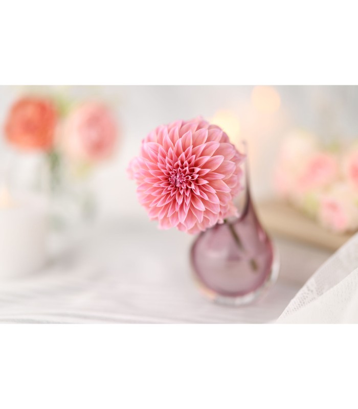 لنز کانن مدل Canon RF 85mm f/1.4 L VCM Lens مانت کانن RF