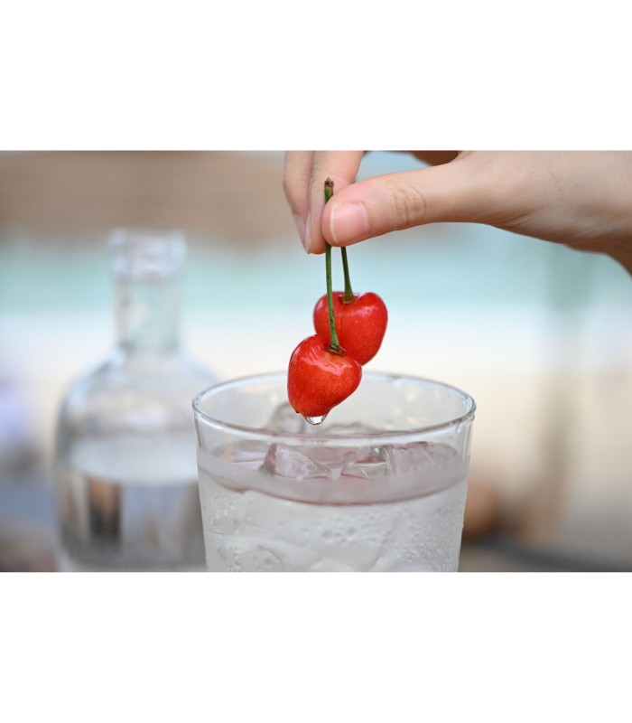 لنز نیکون مدل Nikon NIKKOR Z 24-70mm f/2.8 S II مانت نیکون Z